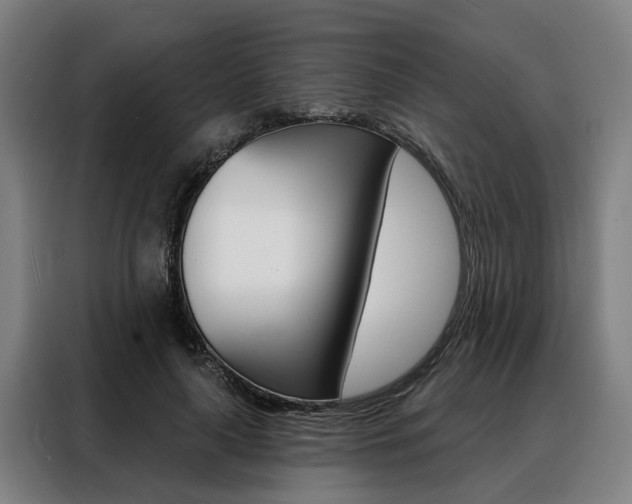 X0000088470643200705220941