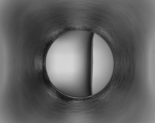 X0000088470644200705220941