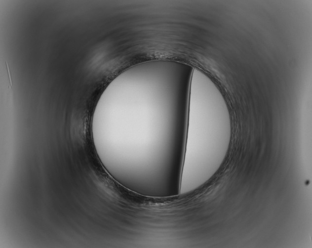 X0000088470645200705220941