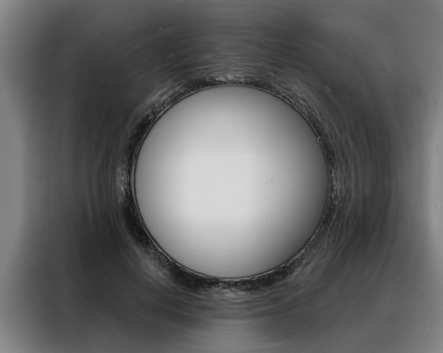 X0000088470648200705220941