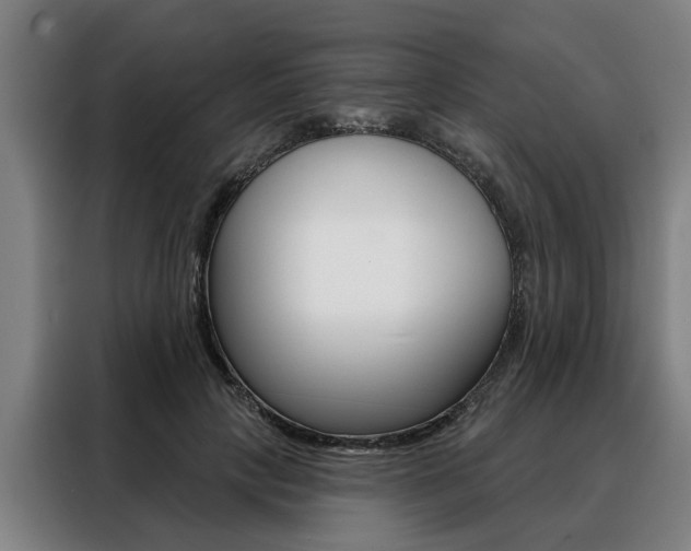X0000088470649200705220941