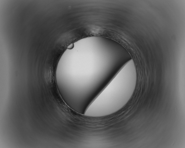 X0000088470651200705220941