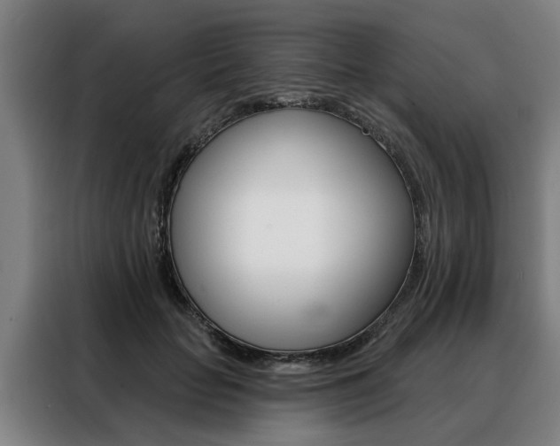 X0000088470653200705220941