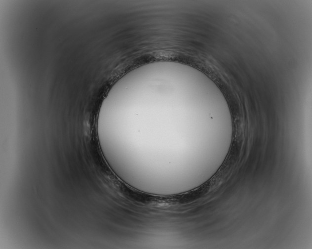 X0000088470655200705220941
