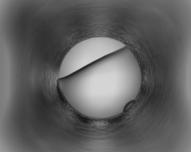 X0000088470659200705220941