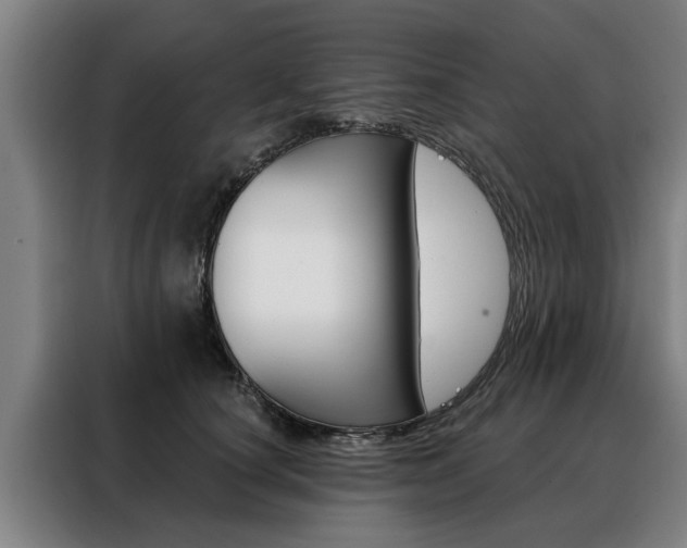 X0000088470660200705220941