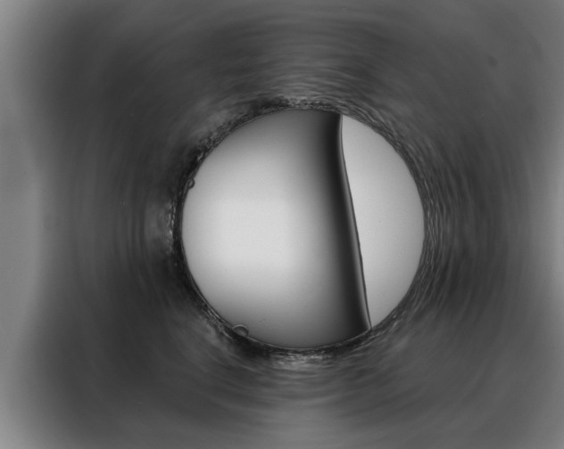X0000088470664200705220942