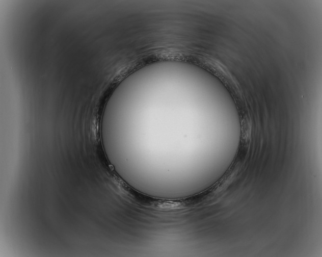 X0000088470669200705220942