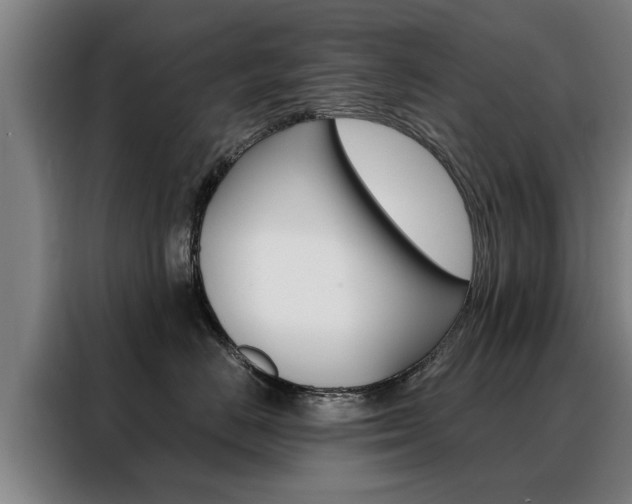 X0000088470670200705220942