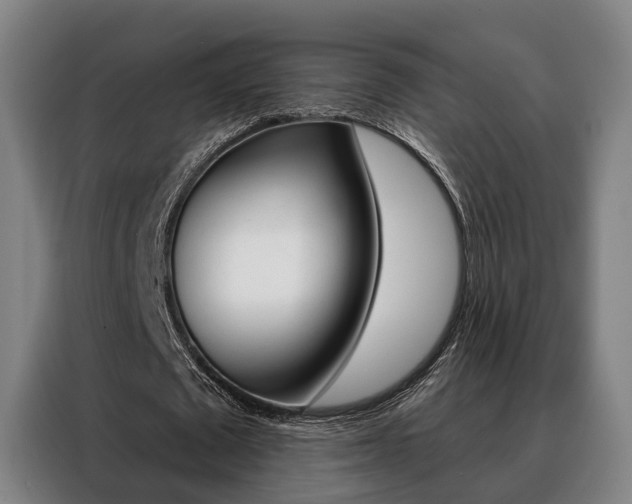 X0000088470673200705220941