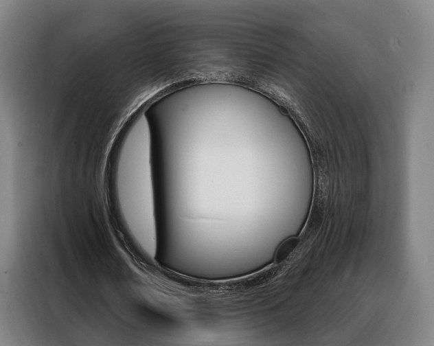 X0000088470674200705220941
