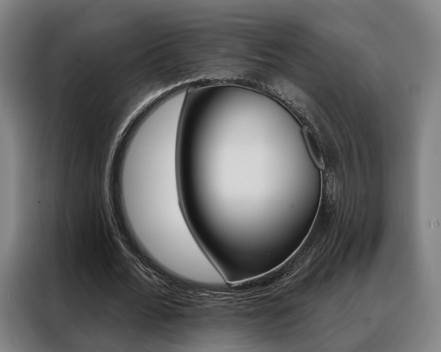 X0000088470676200705220941