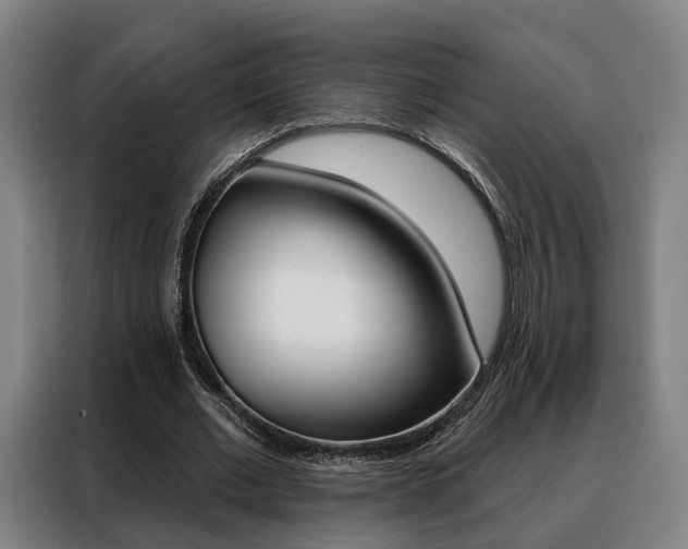 X0000088470677200705220941