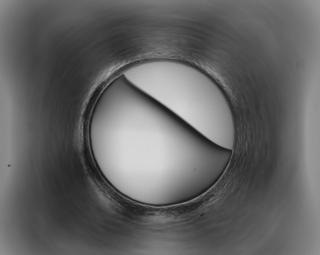 X0000088470678200705220941