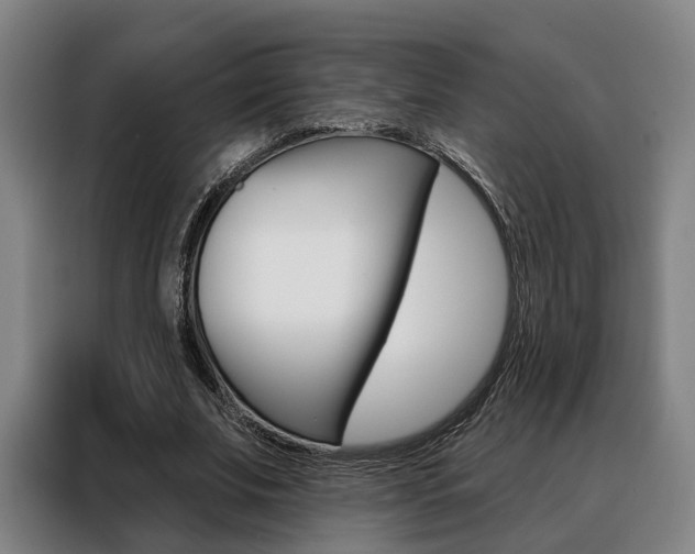 X0000088470679200705220941