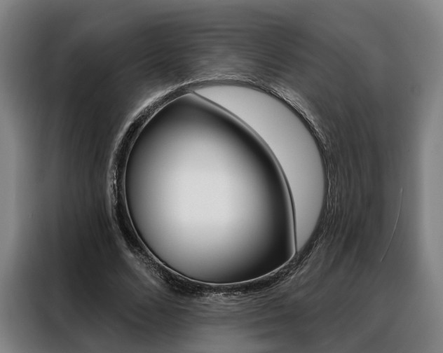 X0000088470680200705220941