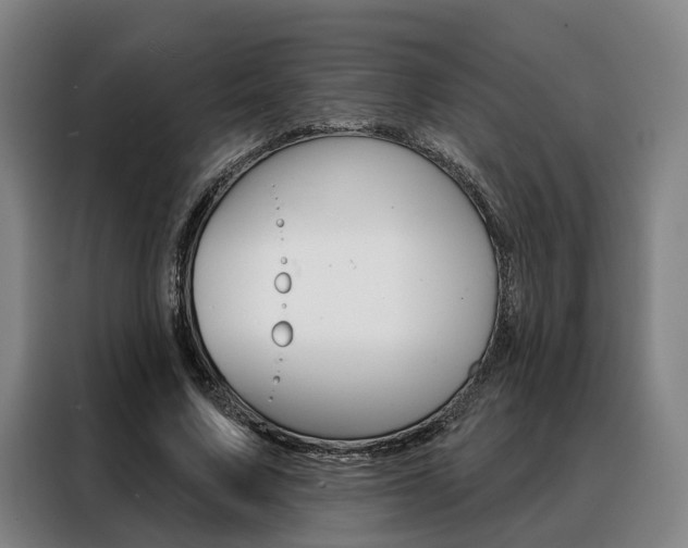 X0000088470683200705220941