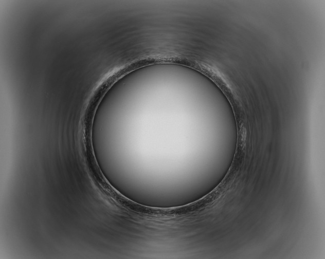 X0000088470684200705220941