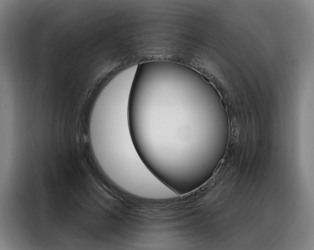X0000088470692200705220941