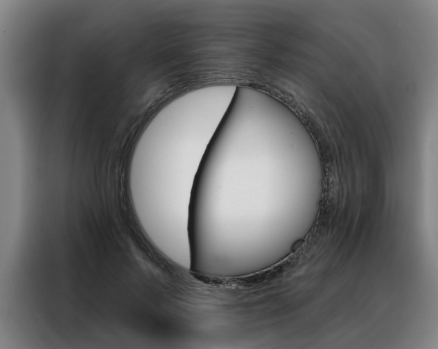 X0000088470695200705220941
