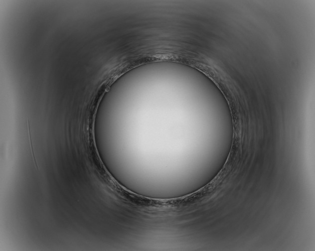 X0000088470696200705220941