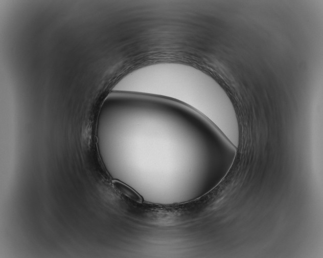 X0000088470697200705220941