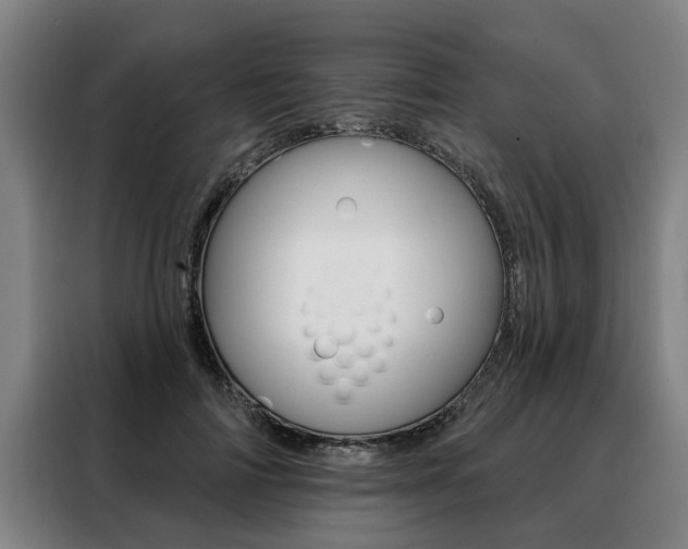 X0000088470698200705220941