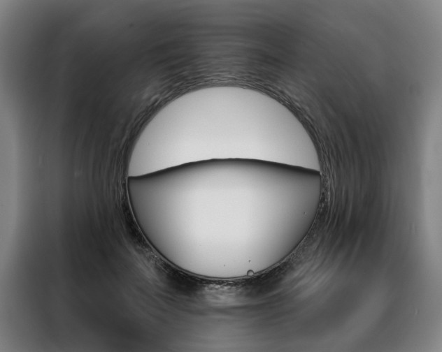 X0000088470699200705220941