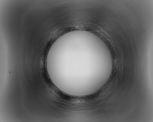 X0000088470702200705220941