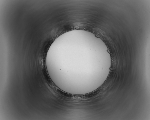 X0000088470703200705220941