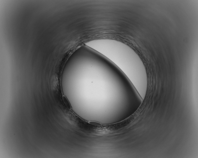 X0000088470704200705220941