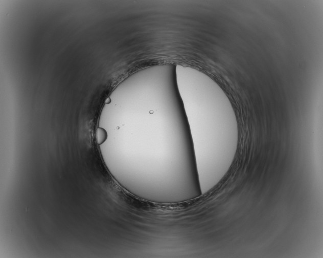 X0000088470707200705220941