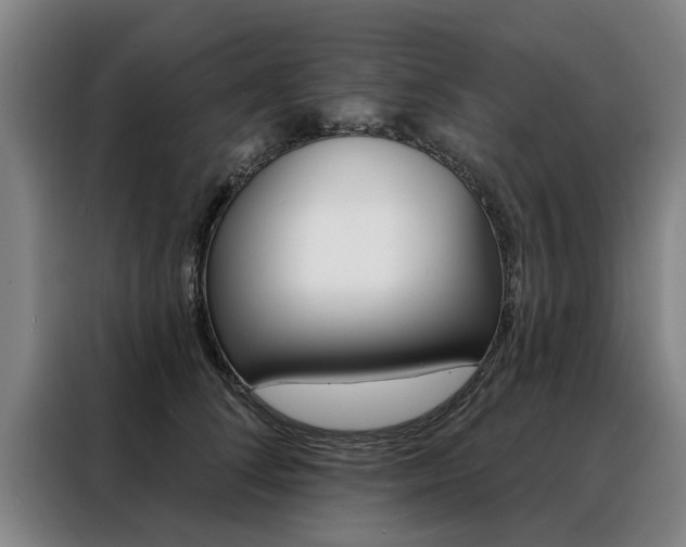 X0000088470708200705220941