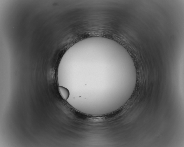 X0000088470711200705220941