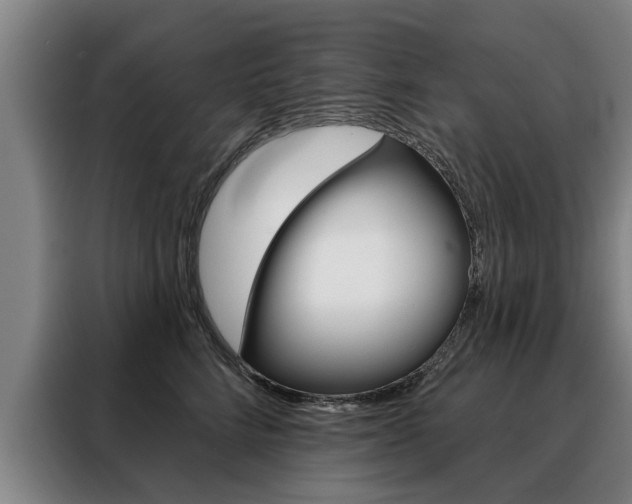 X0000088470712200705220941