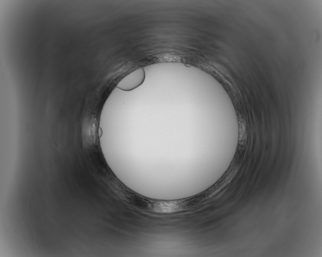 X0000088470717200705220940