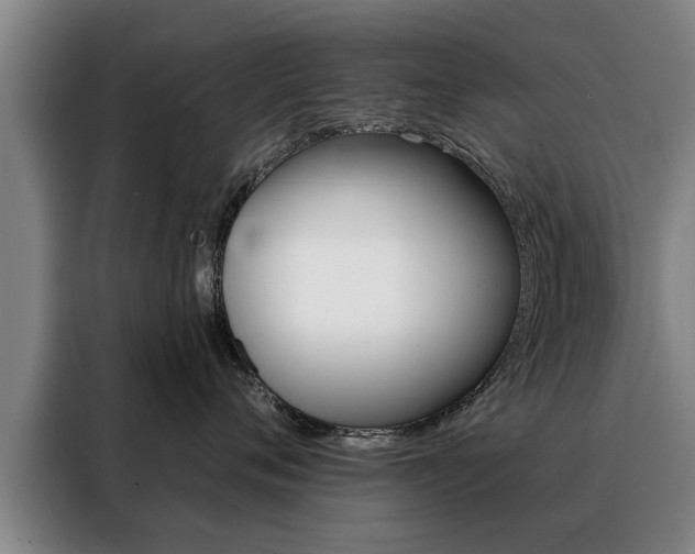 X0000088470720200705220940