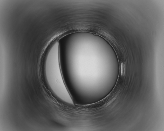 X0000088470723200705220940