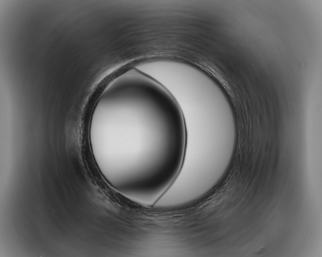 X0000088470724200705220940