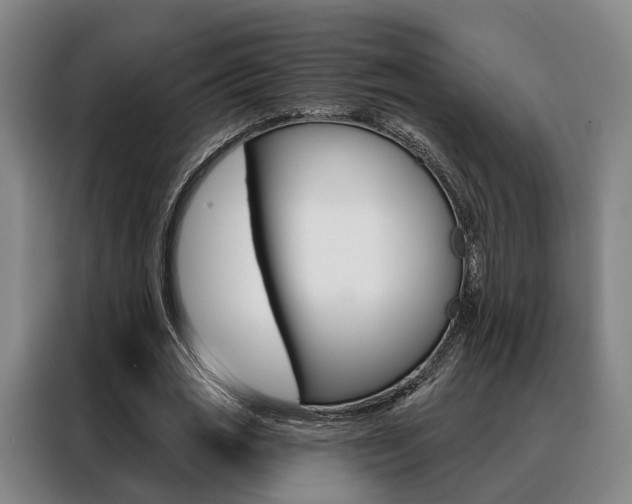 X0000088470725200705220940