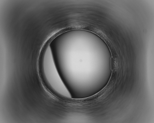 X0000088470726200705220940