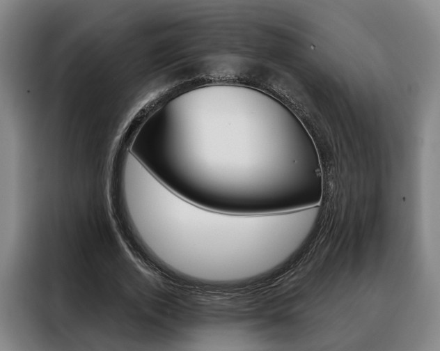 X0000088470728200705220940