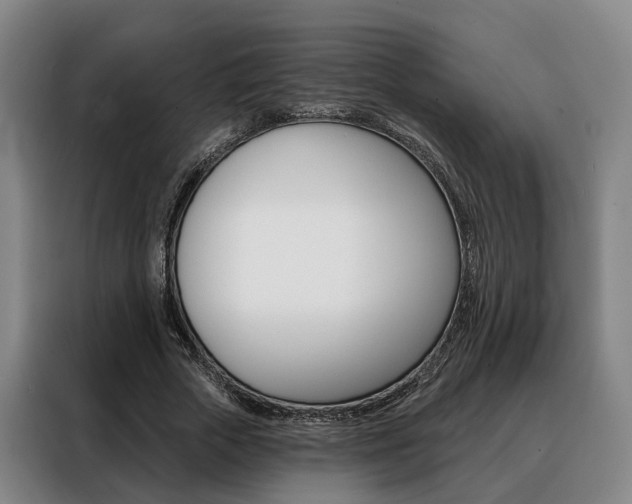 X0000088470729200705220940