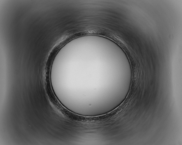 X0000088470730200705220940