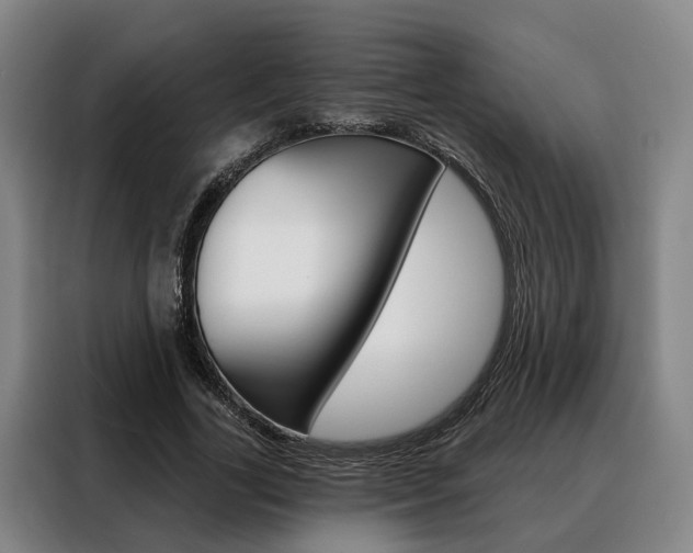 X0000088470731200705220940