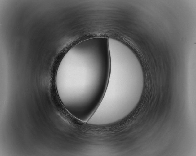 X0000088470732200705220940
