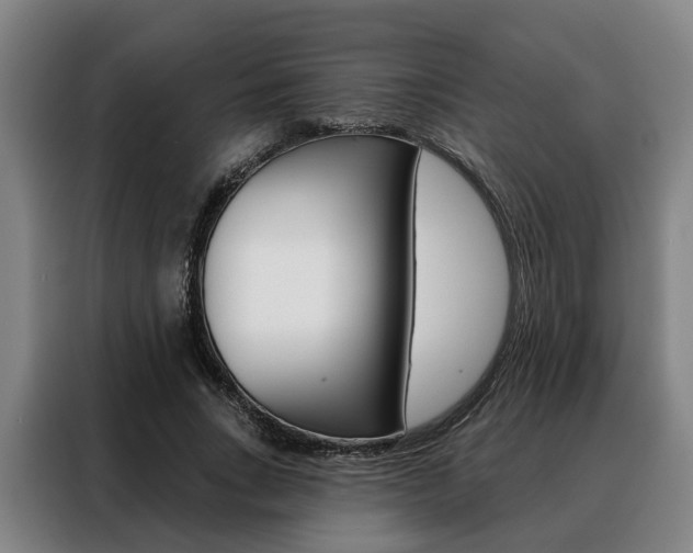 X0000088470735200705220940