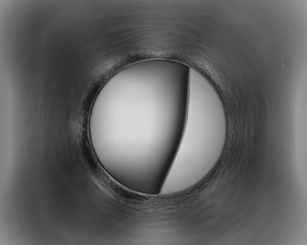 X0000088470736200705220940