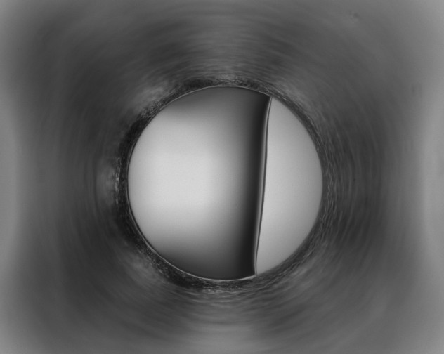 X0000088470739200705220940