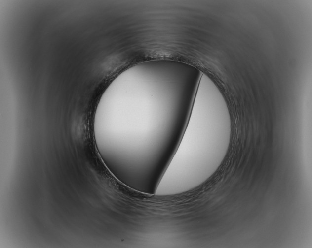X0000088470743200705220940